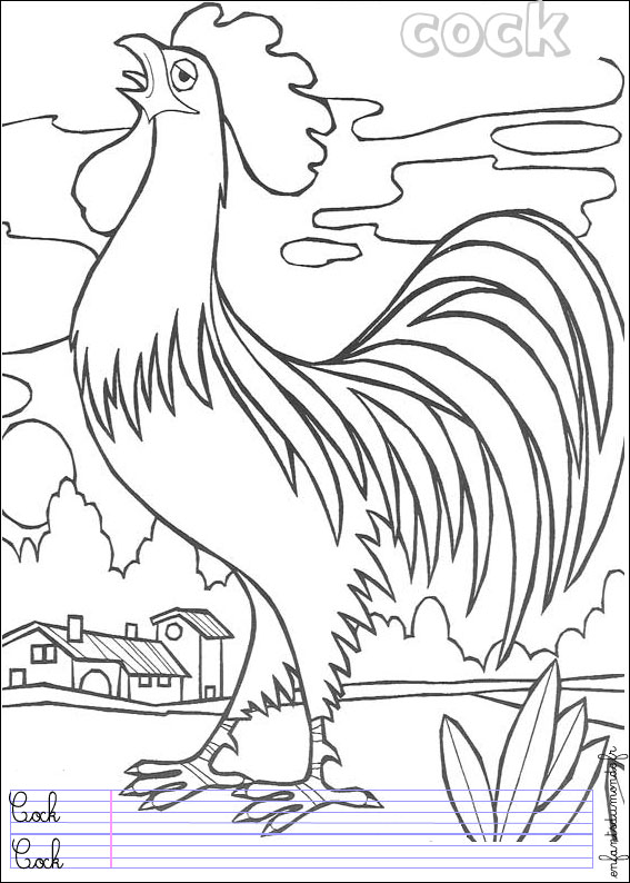 156 coloriage coq 1