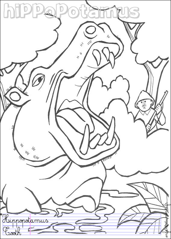 115 coloriage hippopotame 1