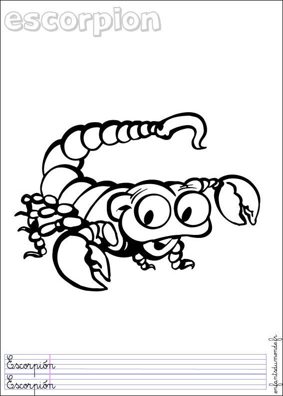 Coloriage Scorpion