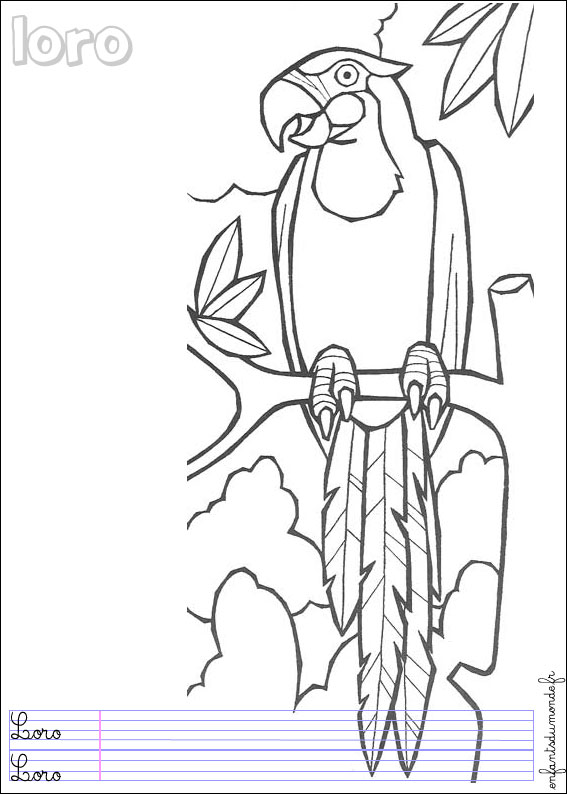 coloriage perroquet 1 .:. Coloriages Oiseaux en espagnol